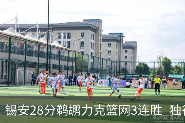 锡安28分鹈鹕力克篮网3连胜 独行侠险胜马刺